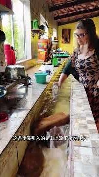 Kitchen Stream: A Hidden Gem in My Home
