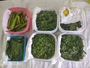 How to store leafy vegetables in fridge | | Tips and tricks to keep vegetables fresh for long time