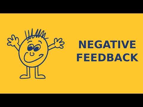 Negative Feedback Explained — GCSE Biology Higher