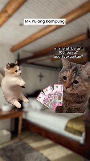 Bapak Anak gitu amat #kucing #memes #shorts
