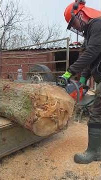 Oleo-Mac GSH 560 jó fába😄