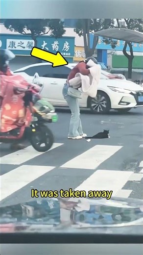 دور الاخ الاكبر في الحياة 🤔🤔 #shortvideo