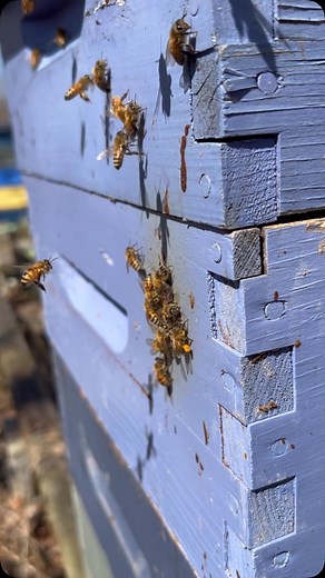 So happy for spring! | Body Positive Dance Fitness