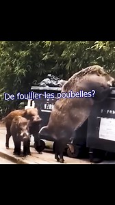 Avec ou sans le dentier ? | Jeremandtheduck