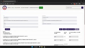How to file company income tax return in e-Taxation platform | Revenue Services Lesotho