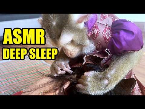 [ASMR DEEP SLEEP] Most Satisfying Monkey Grooming & Hair Scratching NO TALKING