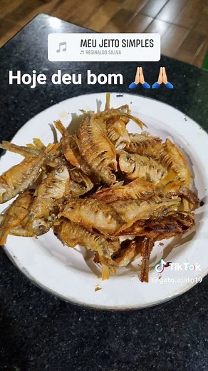 Os vídeos de gato ajato (@gato.ajato19) com som original - gato ajato
