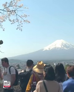 51K views · 1.3K reactions | This is spring in Japan. More about the country here! https://www3.nhk.or.jp/nhkworld/en/shows/japannavigator/ | NHK WORLD-JAPAN | Facebook