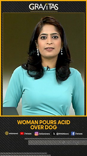 13K views · 156 reactions | 35-yr-old woman arrested for throwing acid on a dog @MollyGambhi reports #Gravitas #Acid #Dog | WION | Facebook