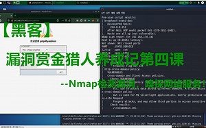 bug赏金猎人养成记--Nmap检测bug，嗅探网络服务！