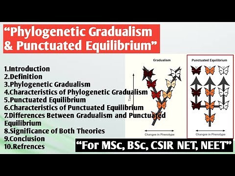 Phylogenetic Gradualism and Punctuated Equilibrium | Phylogenetic Gradualism| Punctuated Equilibrium