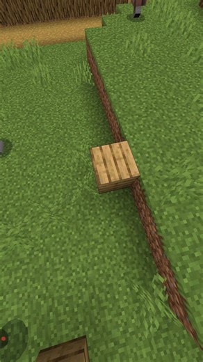 Minecraft But Every Block Can Be Touched Only Once 😨 | #minecraft