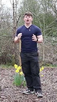 The Largest Disaster in Staffordshire’s History—Now Forgotten