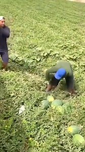 55K views · 586 reactions | The most amazing inventions, devices and vehicles that make people's lives easier | Everyday Vitality | Facebook