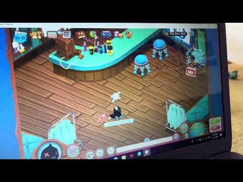 Animal jam classic vet Beta Bash