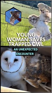 3.8K views · 67 reactions | She had no idea her day would end rescuing a trapped owl 黎 A beautiful story of empathy, nature, and an unexpected connection. | Cultura Colectiva + | Facebook