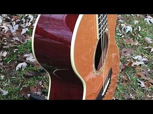 Taylor GC5 Acoustic Guitar - 2007 (107)