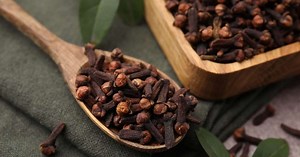 7 benefícios do cravo-da-índia para a saúde e como usá-lo