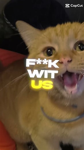 Lil loaded is the goat 😴