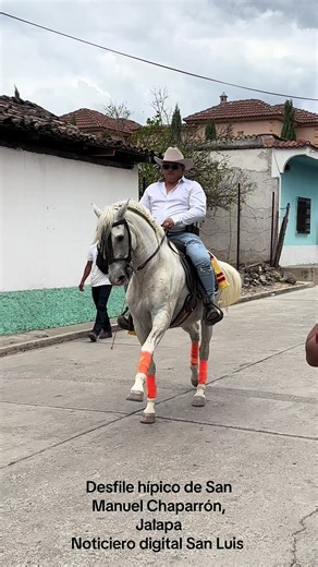 Desfile hípico de San Manuel Chaparrón, Jalapa Noticiero digital San Luis #destacar #hípico🐴🤠 #desfile #ferias #sanmanuelchaparron