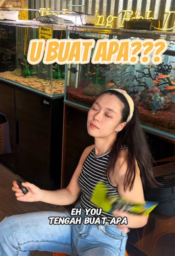 Domin8 Bacteria Solution for Clear Aquariums