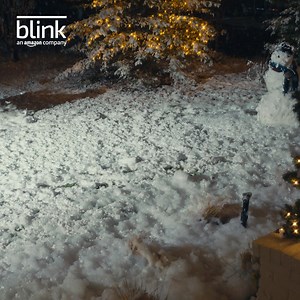 Seeing is believing this holiday season. Shop smart home security devices and Blink Floodlight on Amazon today. 🦌 | Blink