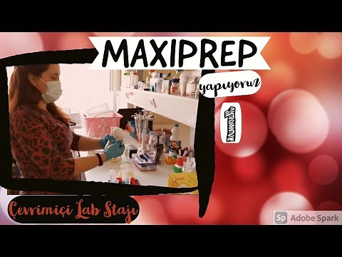 MAXIPREP | PLASMID ISOLATION | ZYMOPURE | ONLINE LAB TRAINING | ENGLISH SUBS