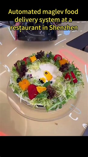 Shenzhen Maglev Robot Restaurant: UFO Pods Deliver Dinner #ai
