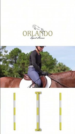 Pole Exercises to Improve Over Fences