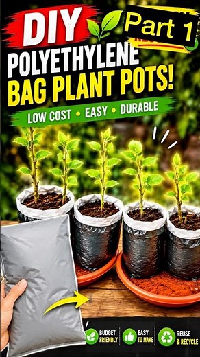 Part 1 | DIY Polyethylene Bag Plant Pots 😳 | Easy, Low-Cost Gardening Hack #shorts #gardening #diy