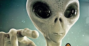 To niepokojące, o czym mówią ludzie! Rząd od lat wszystkiemu zaprzecza