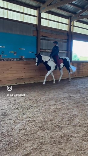 No Stirrup November? Nailing it! Many of our instructors are using this month to challenge their participants to drop their stirrups; riding without stirrups can help improve balance and stability; strengthen core and leg muscles; develop an independent seat; and build confidence! Some of today’s independent riders progressed from walking without stirrups to riding in two-point and even trotting. | Equi-librium