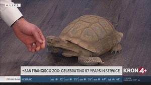 San Francisco Zoo celebrates 97 years in service