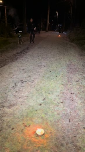 Tack allihopa som kom och avslutade barmarkssäsongen på ett frostigt elljusspår på Mattisberget! Riktigt kul att vi blev ett gäng som trotsade kylan och deltog i plojtävlingen, där Peter och Regina tog hem vinsten med minst differens utifrån den gissade tiden och den faktiska tiden! Bra jobbat allihopa 🖤💛 Nu ser vi framemot en härlig skidsäsong tillsammans med Er! | Luleå Draghundsklubb