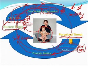 Attachment and the Secure Base System