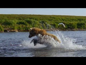 Running Wild: Return to the River (Official Trailer)