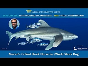 Save Our Seas Distinguished Speaker Series: Mexico's Critical Shark Nurseries (World Shark Day)