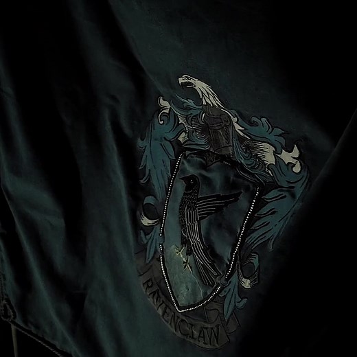 Ravenclaw House: Embracing True Beauty in Harry Potter