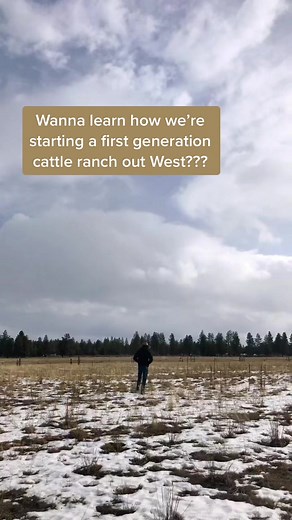 Starting a First Generation Cattle Ranch: Tips and Advice