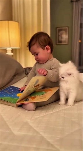 Adorable American Baby Reading a Poem with His White Kitty📖🐱 #kitten #cute #baby #shorts #cat