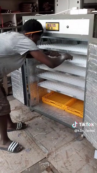 Essential Guide to Poultry Incubators for Hatching Eggs