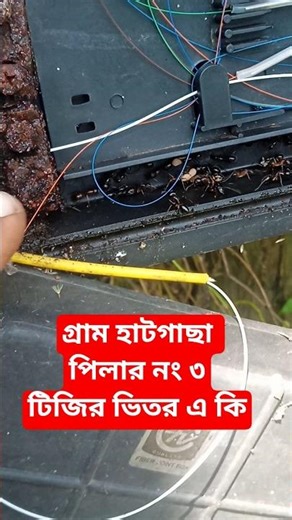 গ্ৰাম হাটগাছা পিলার নং ৩টিজির ভিতর এ কি ,,, #funny #folkgaan #folkshow #folklifefestival #vlog #blog