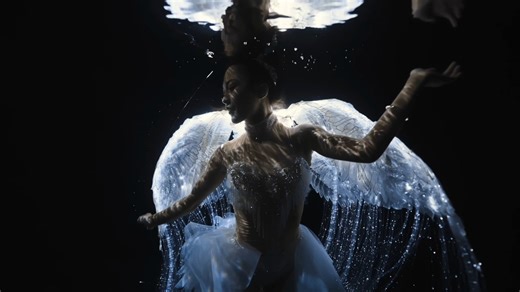 Upgraded Swan Lake Water Dance Costume Showcase