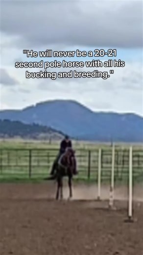 Believe in Yourself: Overcoming Negativity in Riding