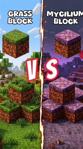 Minecraft Grass Block vs Mycelium Block Which Spreads Faster?#shorts #minecraft