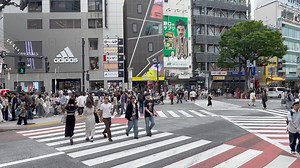 54K views · 210 reactions | Scramble crossings. Przejścia diagonalne. W praktyce zebry są umowne. Piesi przechodzą, jak chcą. Całe skrzyżowanie należy do nich. | Warszawski Alarm Smogowy | Facebook