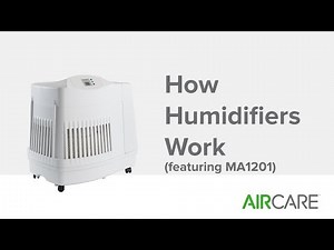 How Humidifiers Work (featuring MA1201)