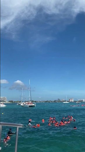 Snorkeling | Cancun | Isla Mujeres #travelreels