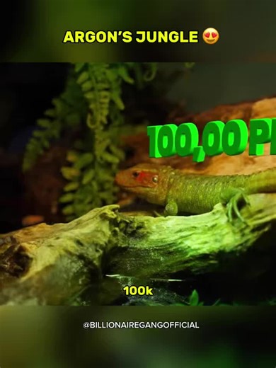 Argon Jungle: A Mini Zoo Experience