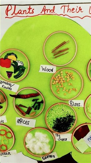 Plant and their uses II PRT SCIENCE II #tlm #science #motivationsciencetlm #motivation